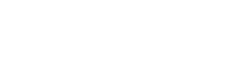 Allegra Pitstop Logo